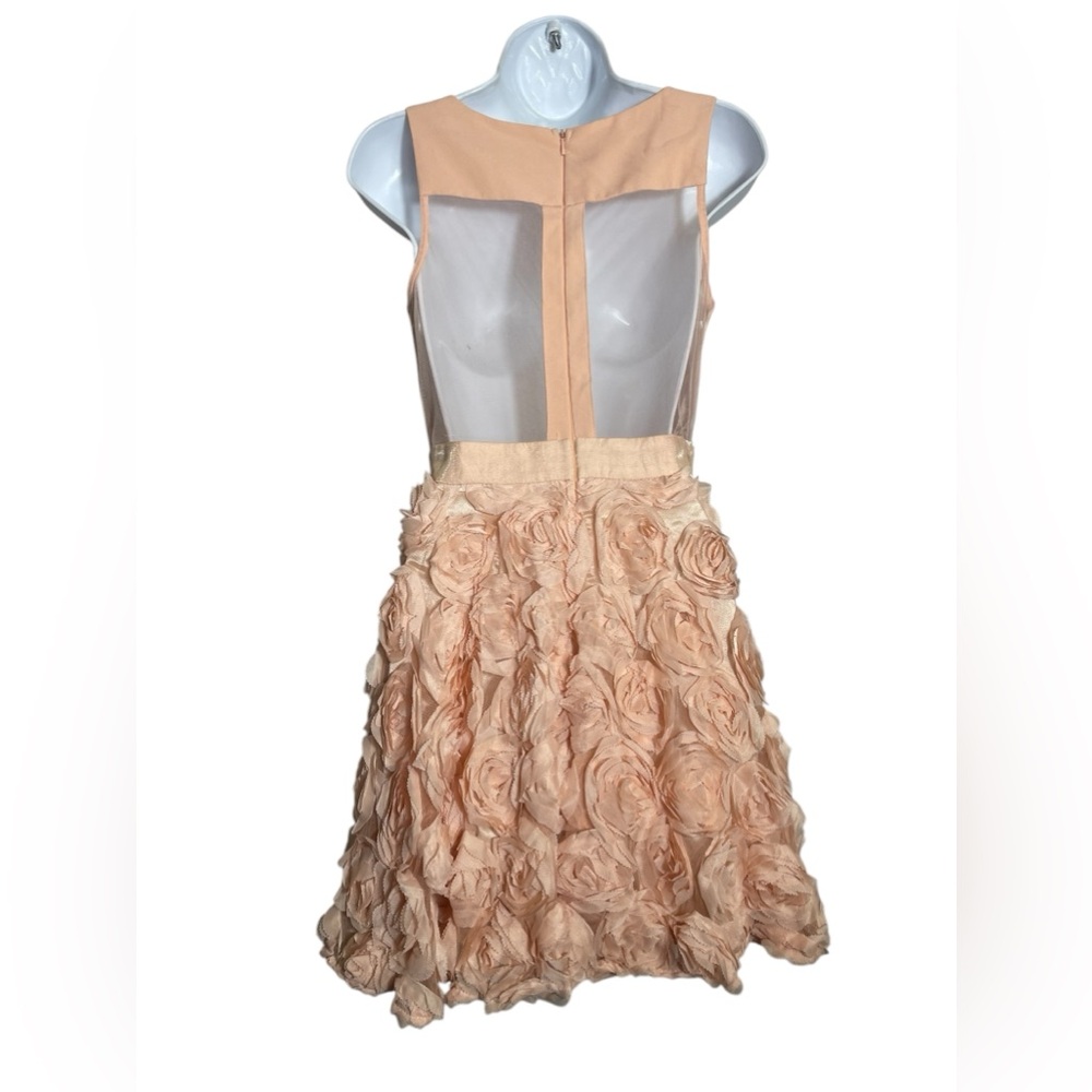 A Drea dress size small beautiful blush pink fit-n-flare sheer back mini dress‎ - Picture 5 of 10